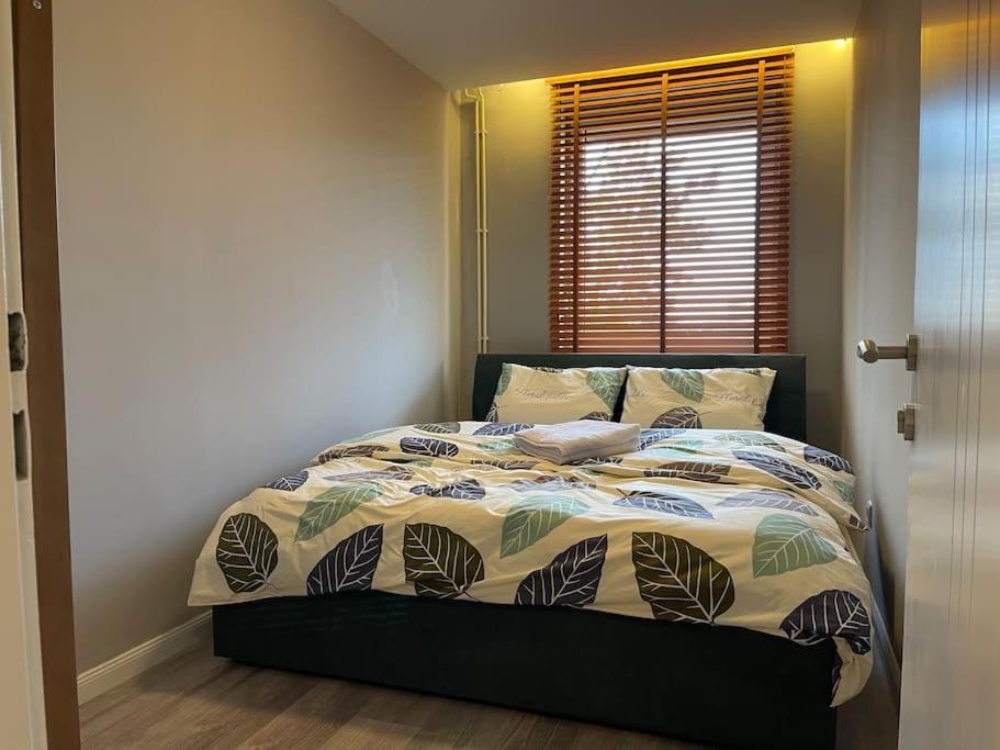 Idealapartments Llc 4 بريشتاين المظهر الخارجي الصورة
